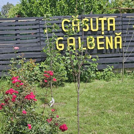 Casuta Galbena Villa Eforie Nord Ngoại thất bức ảnh