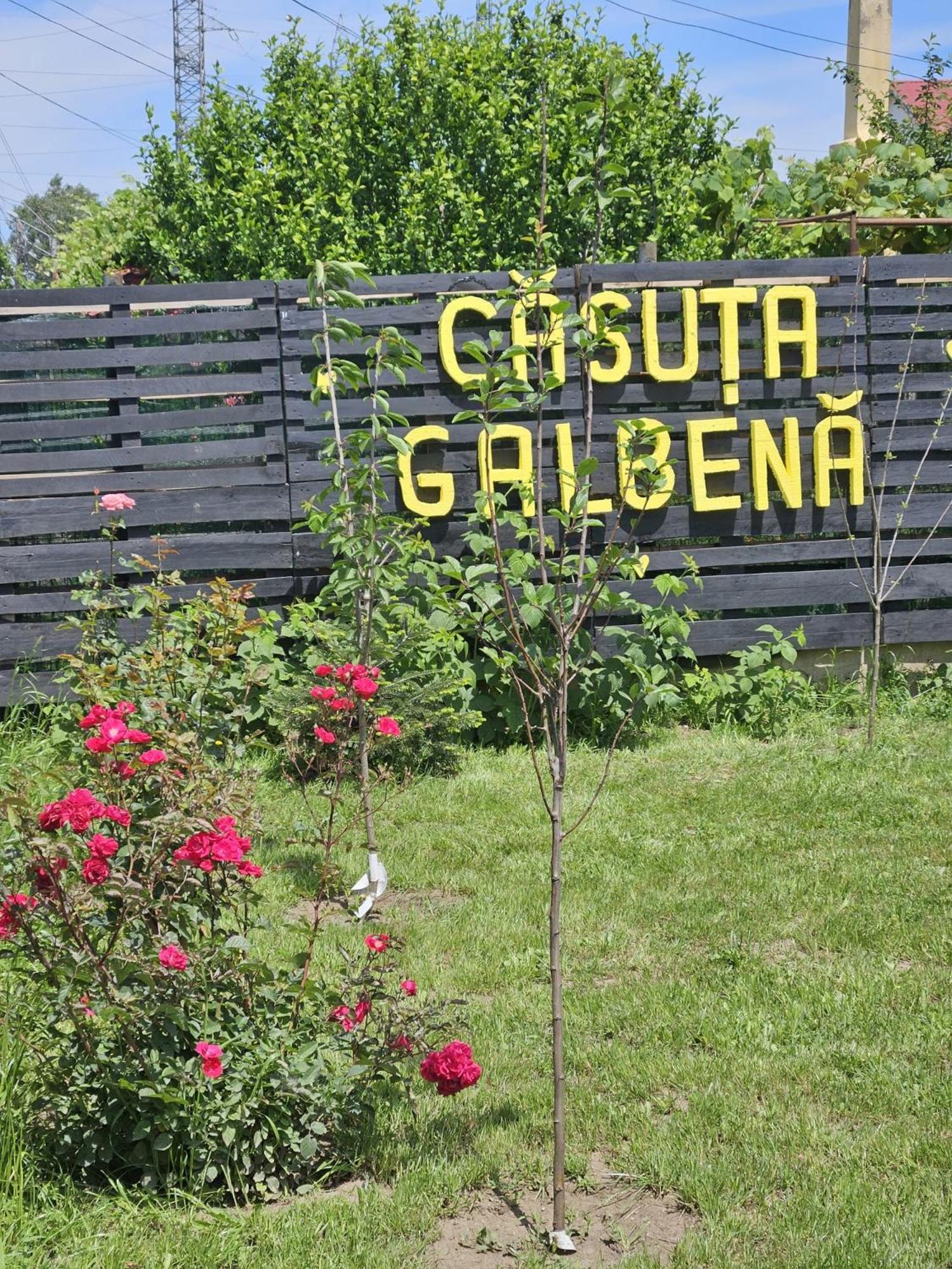Casuta Galbena Villa Eforie Nord Ngoại thất bức ảnh